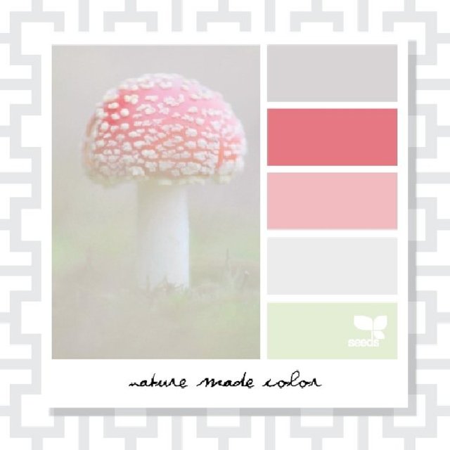 Nature Made Color