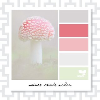 Nature Made Color