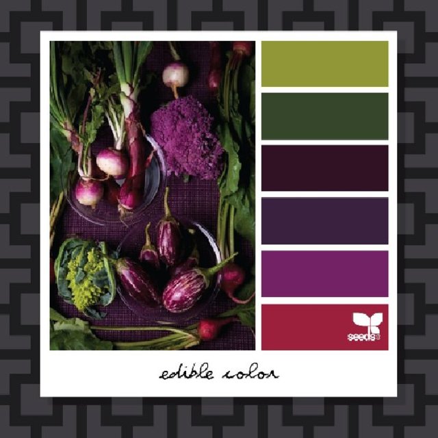 Edible Color