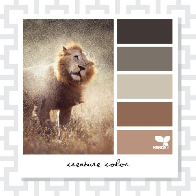 Creature Color