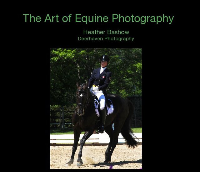 The Art of Equine Photography