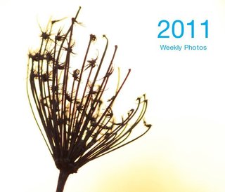 2011 Weekly Calendar