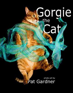 Gorgie the Cat
