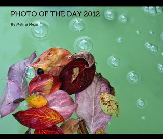 Photo of the Day 2012