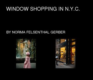 Window Shopping In N.Y.C.