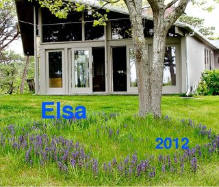 Elsa 2012