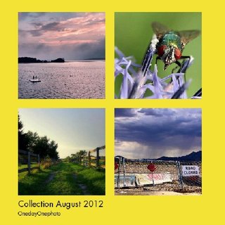 Collection August 2012