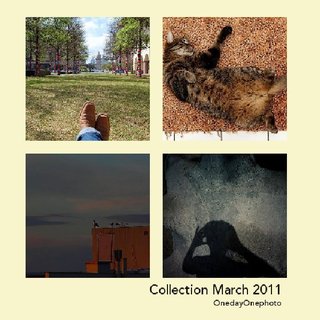 Collection March 2011