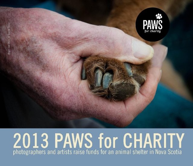 2013 Paws For Charity