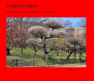 Osaka to Tokyo