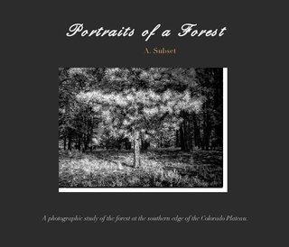 Portraits of a Forest