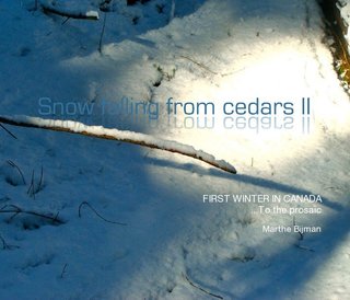 Snow Falling from Cedars II