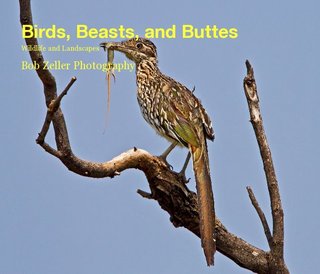 Birds, Beasts, and Buttes