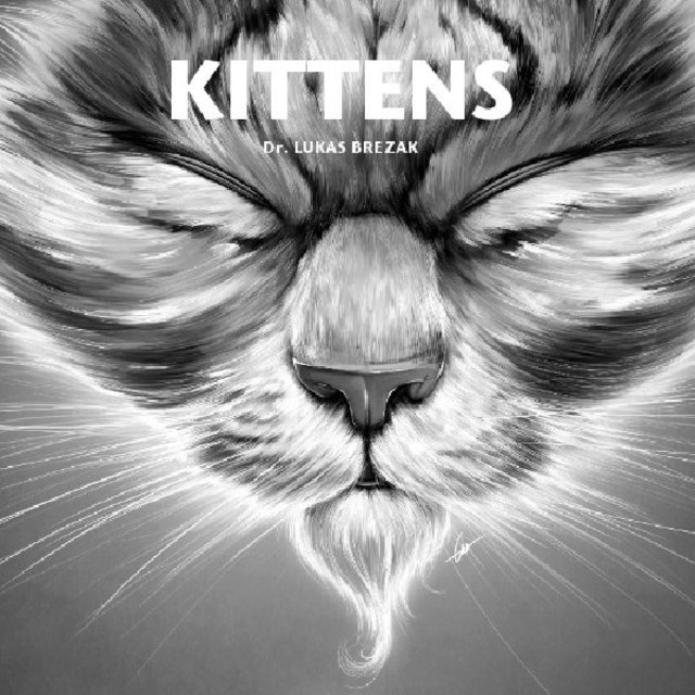 KITTENS

Dr. LUKAS BREZAK