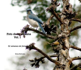 Foto de la semana Vol. I 52 semanas de fotografía y reflexión Dina Estrada