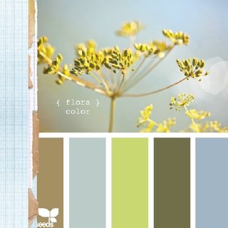 Design Seeds