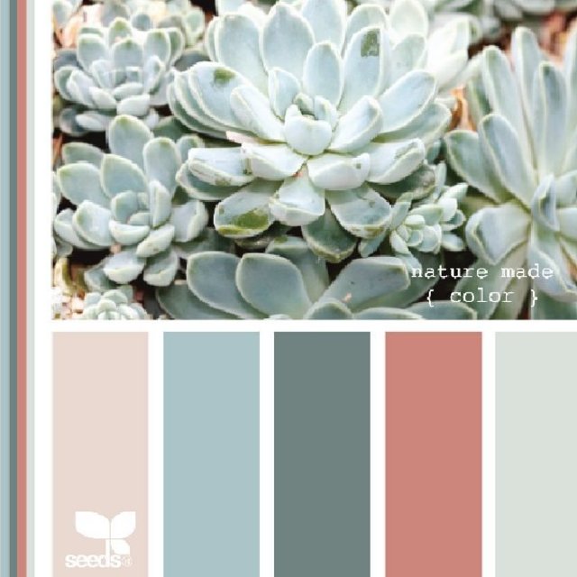 Design Seeds