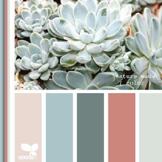 Design Seeds