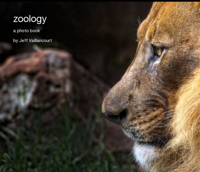 zoology