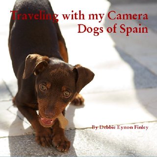 Traveling with my Camera Dogs of Spain
