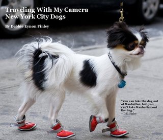 Traveling With My Camera New York City Dogs