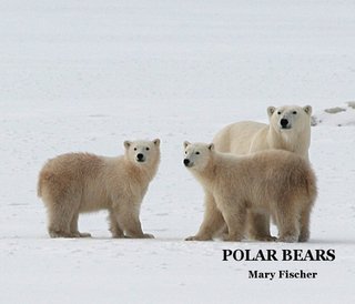 POLAR BEARS Mary Fischer