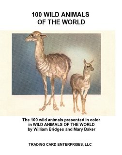 100 WILD ANIMALS OF THE WORLD