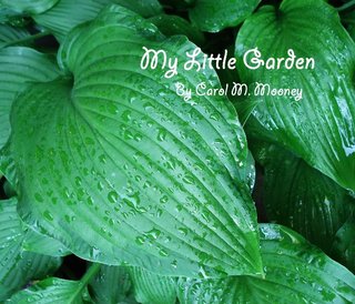 My Little Garden