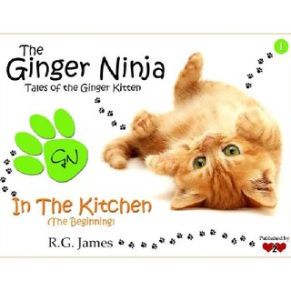 The Ginger Ninja - In The kitchen