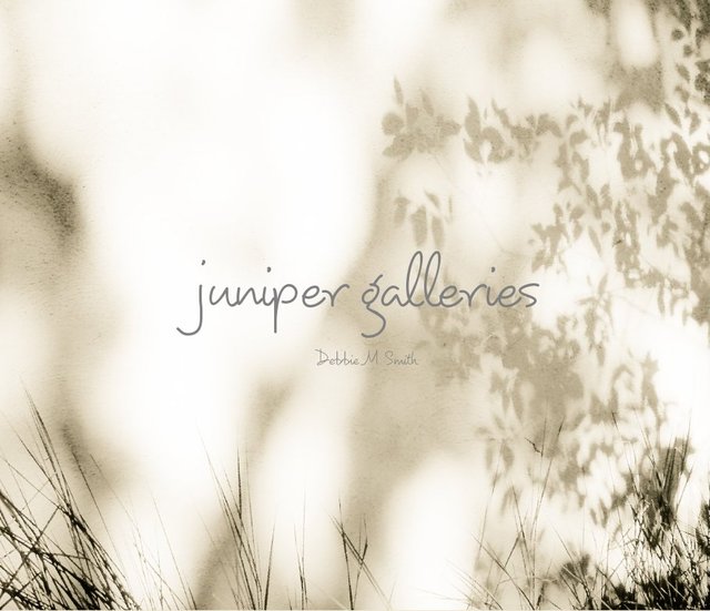 juniper galleries   Debbie  M. Smith