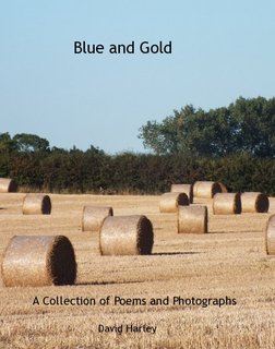 Blue and Gold
