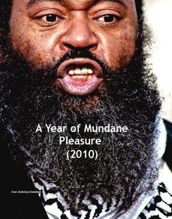 A Year of Mundane Pleasure (2010)