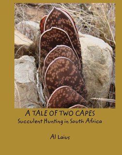 A TALE OF TWO CAPES. Succulent Hunting in South Africa