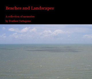Beaches and Landscapes