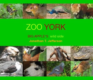 Zoo York
