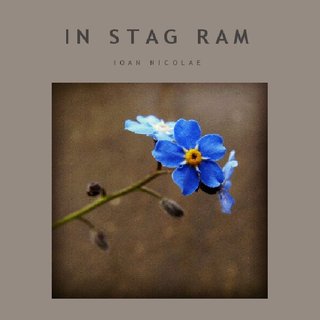 IN STAG RAM