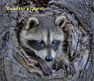Bandito's Quest