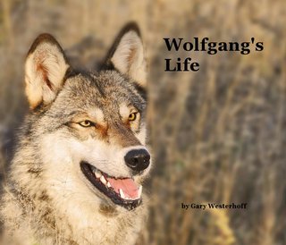Wolfgang's Life