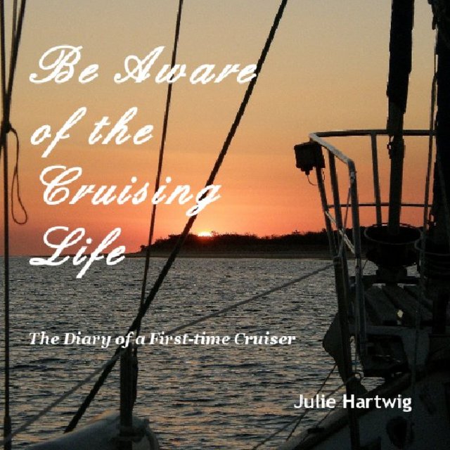 Be Aware of the Cruising Life