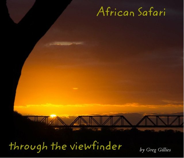 African Safari