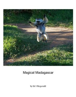 Magical Madagascar