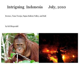 Intriguing Indonesia July, 2010