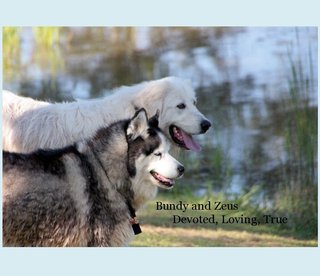 Bundy and Zeus Devoted, Loving, True