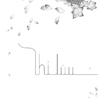 Thi-Lùu, portfolio 2012