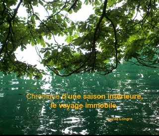 Chronique d'une saison intérieure, le voyage immobile