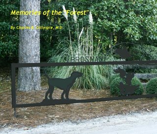 Memories of the "Forest"