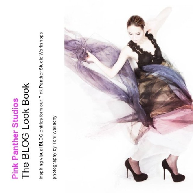 Pink Panther Studios The BLOG Look Book