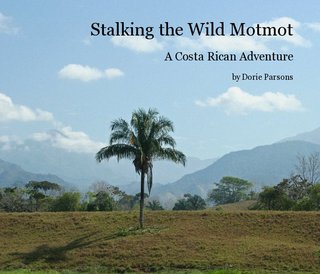 Stalking the Wild Motmot