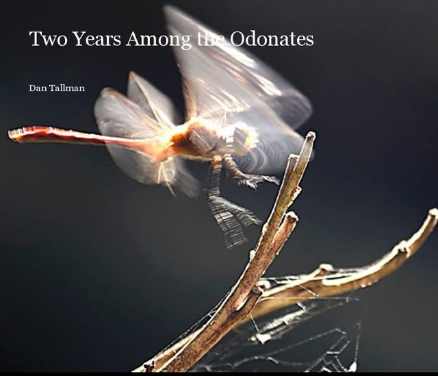 Two Years Among the Odonates