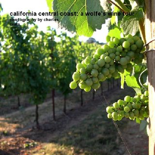 california central coast: a wolfe's wine tour